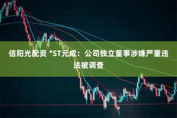信阳光配资 *ST元成：公司独立董事涉嫌严重违法被调查