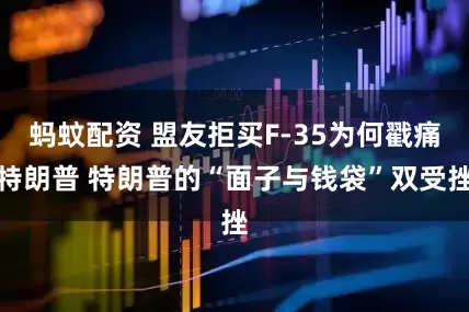 蚂蚊配资 盟友拒买F-35为何戳痛特朗普 特朗普的“面子与钱袋”双受挫